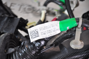 Tesla Model 3 18- RWD Engine Bay Wiring