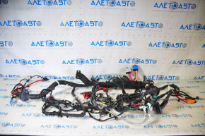 Tesla Model 3 21- RWD Engine Bay Wiring