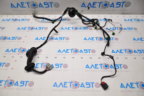 Tesla Model S 12-20 Rear Left Door Wiring
