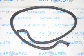 Front hood seal Porsche Panamera 10-16