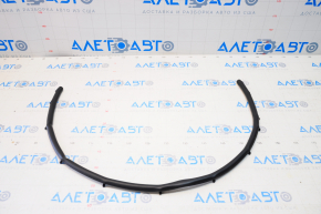 Hood Seal on Bumper Ford Escape MK4 20-22