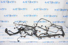 Wiring Motor Porsche Panamera 12-16 4.8