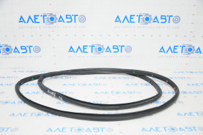 Door seal rear left Chevrolet Equinox 18-