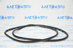 Door seal front left Chevrolet Equinox 18-