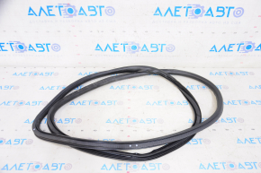 Door seal front left Chevrolet Equinox 18-