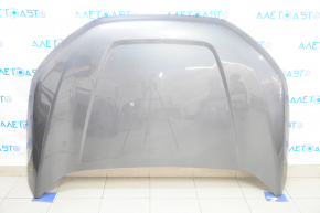 Naked hood Ford Edge 19-24 graphite J7 steel