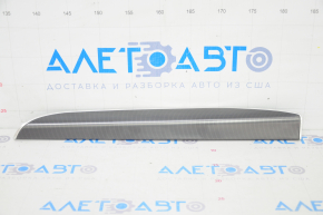 Ford Edge 19 Front Panel Molding - Chrome Defect
