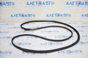 Front left door seal Lexus UX200 UX250h 19-