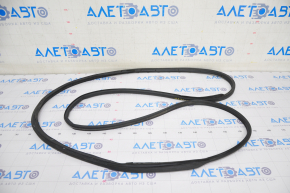 Front left door seal Lexus UX200 UX250h 19-