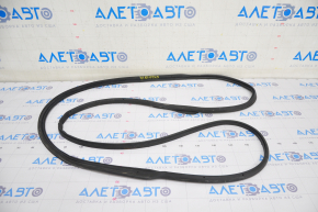 Front right door seal Lexus UX200 UX250h 19-