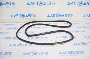 Rear left door seal Lexus UX200 UX250h 19-