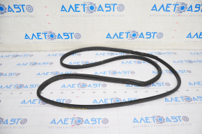 Rear left door seal Lexus UX200 UX250h 19-