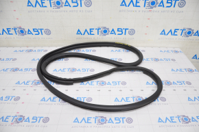 Door seal rear left Lexus UX200 UX250h 19-