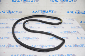 Door seal rear right Lexus UX200 UX250h 19-