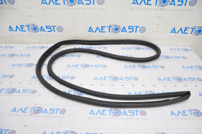 Door seal front right Lexus UX200 UX250h 19-