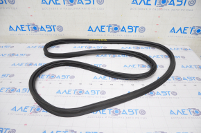 Rubber seal for the trunk door Lexus UX200 UX250h 19-