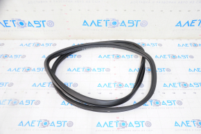 Door seal front right Honda Insight 19-22
