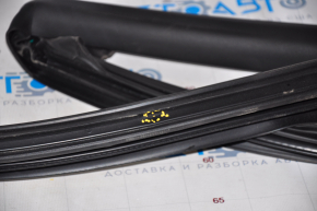 Door seal front right Tesla Model 3 18- cut