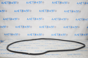 Rear left door seal for Lexus ES300h ES350 13-18