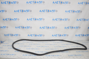 Rear right door seal for Lexus ES300h ES350 13-18