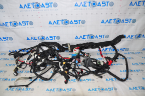 Tesla Model 3 21- AWD Engine Bay Wiring