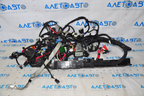 Tesla Model 3 21- AWD Engine Bay Wiring
