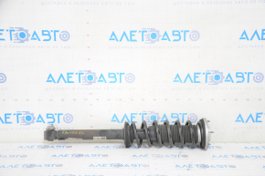 Shock absorber strut assembly rear left BMW 5 G30 18-20 530e hybrid