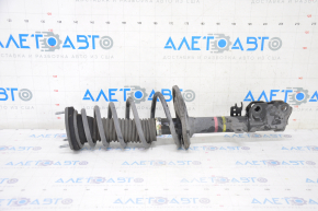 Shock absorber strut assembly rear right Lexus ES300h 13-16