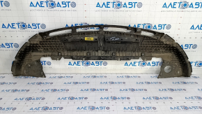 Ford Escape MK4 20 Front Bumper Guard - Structure, Scratches