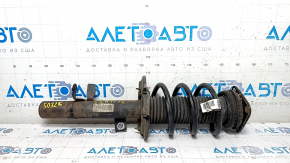 Shock absorber strut assembly front left Ford Escape MK3 13-19 straight cup, spring green, rusty