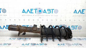 Shock absorber strut assembly front left Ford Escape MK3 13-19 straight cup, spring green, rusty