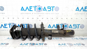 Shock absorber strut assembly front right Ford Escape MK3 13-19 straight cup, spring green, rusty