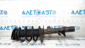 Shock absorber strut assembly front right Ford Escape MK3 13-19 straight cup, spring green, rusty