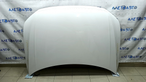 Hood assembly VW Tiguan 18-24 white LC9A, sand