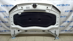 Hood assembly VW Tiguan 18-24 white LC9A, sand