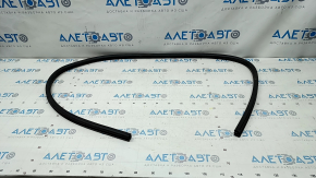 Door Seal Lower Left Dodge Challenger 09-23