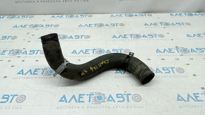 Lower Coolant Hose for Dodge Challenger 09-23 3.6