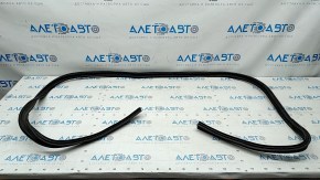 09-23 Dodge Challenger Trunk Lid Seal