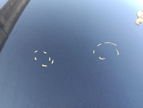Roof metal Kia Niro 17-22 without sunroof, on body, bumps