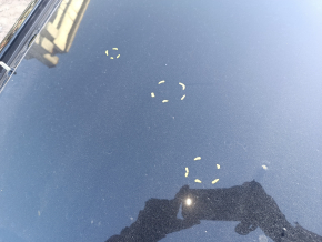 Roof metal Kia Niro 17-22 without sunroof, on body, bumps