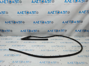 Upper front left door seal for 09-23 Dodge Challenger