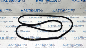 Rear left door seal GMC Terrain 18-