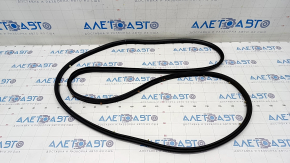 Front Right Door Seal GMC Terrain 18-