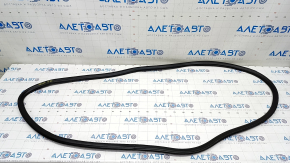 Door seal rear left GMC Terrain 18-