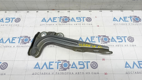 Hood hinge left GMC Terrain 18-