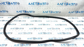 VW Passat B8 16-19 trunk lid seal USA