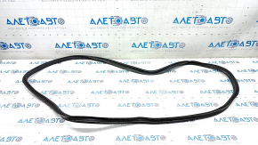 VW Passat B8 16-19 trunk lid seal USA