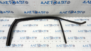 Rear left glass seal VW Jetta 11-18 USA