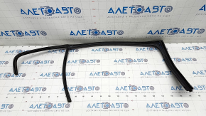 Rear left glass seal VW Jetta 11-18 USA