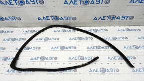 Door seal rear left VW Jetta 11-18 USA